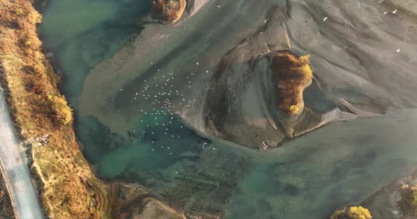 Luonnonvaraiset Muuttolinnut Lähtevät Liikkeelle Suuressa Auringonnousun Sinisessä Jokivedessä Laadukas Dji — kuvapankkivideo