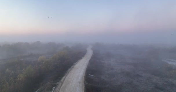霧と緑のジャングルと平らな地面の上に空の道路の空中トップビュー 高品質4K Dji Mavin 2021年8月にルーマニアで撮影された映像 — ストック動画