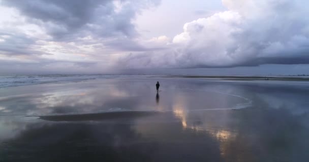 Young Women Exercising Beach Outdoor Cinematic Running Alone Dji Phantom — Stockvideo