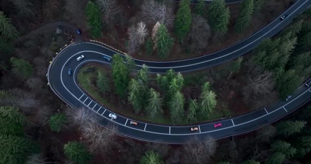 Aerial Top Drone Shot Winding Mountain Road Close Sunset Cars — Stockvideo