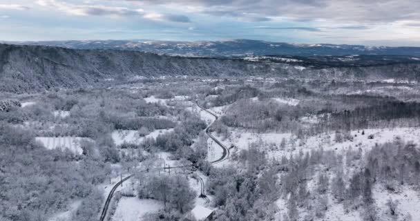 Slowly Zooming Drone Footage Flying Snow Covered Trees Cloudy Day — Vídeo de Stock