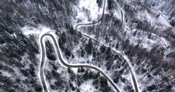 Windy Road Snowy Forest Top View Scenic Mountain High Quality — Stockvideo
