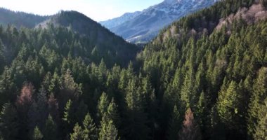 Hava aracı görüntüsü, güneşli bir günde dağın tepesini gösteriyor. Yüksek kaliteli 5.1k DJI Maviç Aralık 2021 'de Güney Romanya' da 34k 'lık çekim