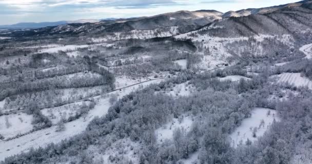Drone Footage Snow Covered Trees Winter Nature Beautiful Europe Mountains — Wideo stockowe