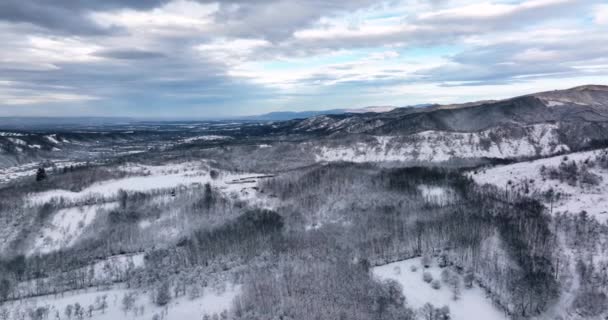 Drone Footage Snow Covered Trees Winter Nature Beautiful Europe Mountains — Vídeo de stock