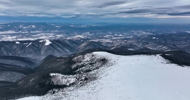 Dense Evergreen Spruce Forest Covers White Snow Capped Hills High — Vídeo de stock