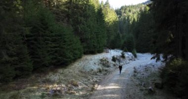 Yürüyüş yapan kadınlar dağ ağaçlarının tadını çıkarıyorlar. Ormanda yürüyen gezgin kadın. Yüksek kaliteli 5.1k DJI Maviç Aralık 2021 'de Güney Romanya' da 34k 'lık çekim