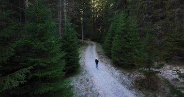Yürüyüş yapan kadınlar dağ ağaçlarının tadını çıkarıyorlar. Ormanda yürüyen gezgin kadın. Yüksek kaliteli 5.1k DJI Maviç Aralık 2021 'de Güney Romanya' da 34k 'lık çekim