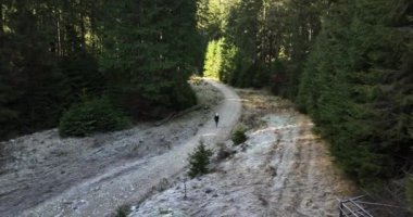 Yürüyüş yapan kadınlar dağ ağaçlarının tadını çıkarıyorlar. Ormanda yürüyen gezgin kadın. Yüksek kaliteli 5.1k DJI Maviç Aralık 2021 'de Güney Romanya' da 34k 'lık çekim