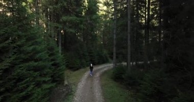 Yürüyüş yapan kadınlar dağ ağaçlarının tadını çıkarıyorlar. Ormanda yürüyen gezgin kadın. Yüksek kaliteli 5.1k DJI Maviç Aralık 2021 'de Güney Romanya' da 34k 'lık çekim