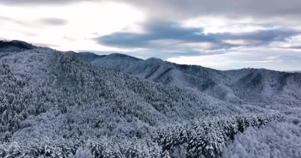 Aerial View Snow Covered Trees Sunset Romania Rising Drone Footage — 图库视频影像