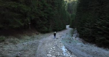 Yürüyüş yapan kadınlar dağ ağaçlarının tadını çıkarıyorlar. Ormanda yürüyen gezgin kadın. Yüksek kaliteli 5.1k DJI Maviç Aralık 2021 'de Güney Romanya' da 34k 'lık çekim