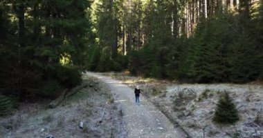 Yürüyüş yapan kadınlar dağ ağaçlarının tadını çıkarıyorlar. Ormanda yürüyen gezgin kadın. Yüksek kaliteli 5.1k DJI Maviç Aralık 2021 'de Güney Romanya' da 34k 'lık çekim