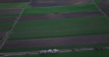 AERIAL TOP DOWN: Flying over patterned lush green meadows. Sunset time. High-quality 5.1k DJI Mavic 3 4k footage shoot in May 2022 in South Romania