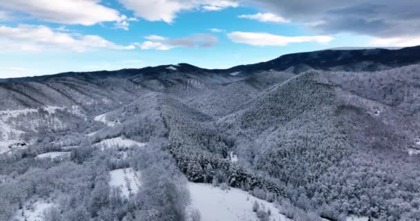 Slowly Zooming Drone Footage Flying Snow Covered Trees Cloudy Day — Wideo stockowe
