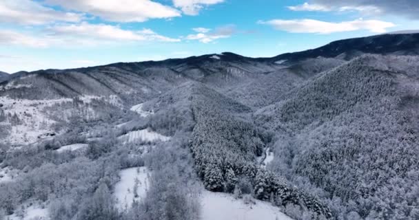 Slowly Zooming Drone Footage Flying Snow Covered Trees Cloudy Day — Stockvideo