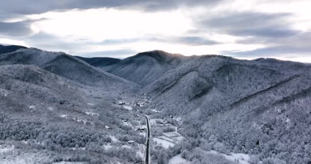 Drone Footage Snow Covered Trees Winter Nature Beautiful Europe Mountains — Stok Video