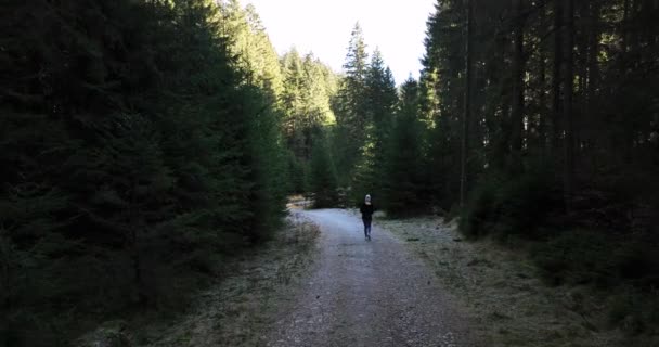 Жінки Подорожують Ландшафтними Гірськими Деревами Мандрівниця Ходить Лісом Високоякісна Зйомка — стокове відео