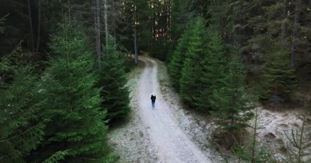 Women Hiker Enjoying Landscape Mountain Trees Traveller Woman Walking Forest — Stockvideo