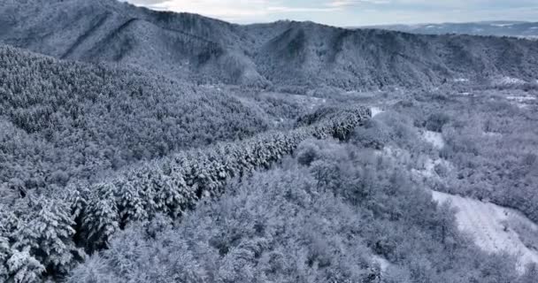 Aerial View Snow Covered Trees Sunset Romania Rising Drone Footage — 图库视频影像