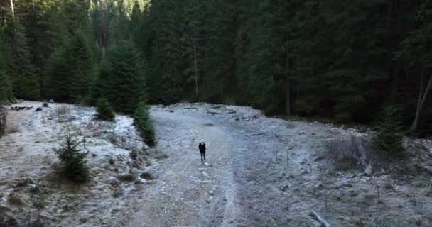 Women Hiker Enjoying Landscape Mountain Trees Traveller Woman Walking Forest — Stockvideo