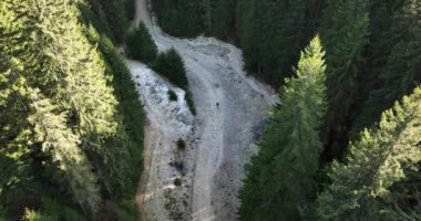 Yürüyüş yapan kadınlar dağ ağaçlarının tadını çıkarıyorlar. Ormanda yürüyen gezgin kadın. Yüksek kaliteli 5.1k DJI Maviç Aralık 2021 'de Güney Romanya' da 34k 'lık çekim