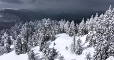 Top-down drone view of a snow-covered mountain landscape at an altitude over 1600. High-quality DJI Mavic 3 5.1k and 4k footage made in Romania in February 2022. Beautiful winter hike. Snowy mountain.