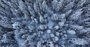 Top-down aerial snow for mountain forest. Winter nobody nature landscape. High-quality DJI Mavic 3 5.1k and 4k footage shot in January 2022 in Borsa, Romania a town in eastern Maramures County