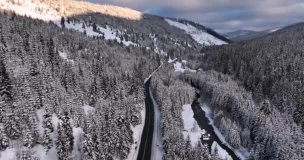 Scenic Top Aerial Video Birch Forest Valleys Froze Snowy Mountains — Vídeo de Stock
