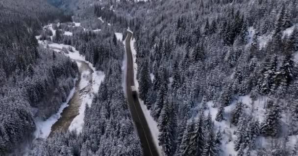 Scenic Top Aerial Video Birch Forest Valleys Froze Snowy Mountains — Vídeo de Stock