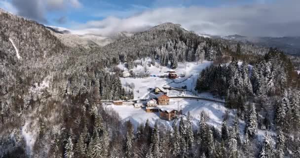 Flight Village Hunedoara Forest Romania Winter High Quality Dji Mavic — Stockvideo