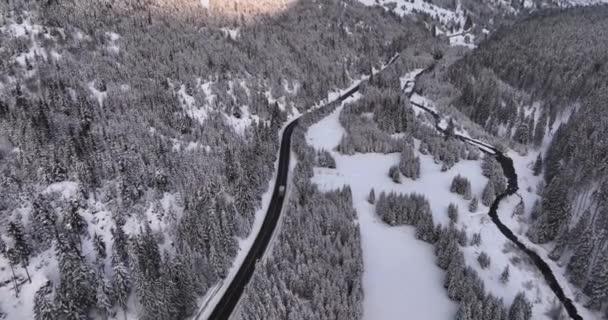 Car Trucks Driving Winter Country Road Snowy Forest Aerial View — Stockvideo