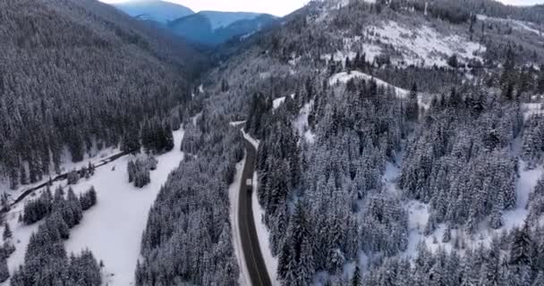 Car Trucks Driving Winter Country Road Snowy Forest Aerial View — 图库视频影像