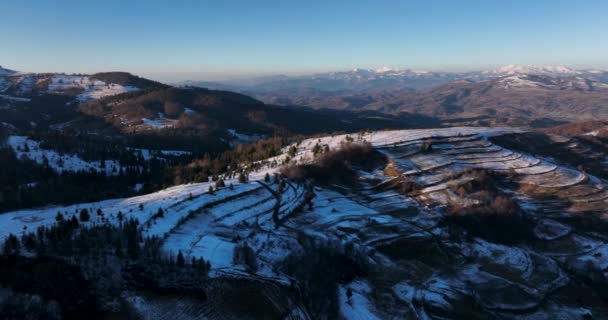 Snow Covered Mountain Peak Cinematic View Forestand Mountain Background High — Stockvideo