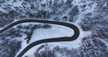 Aerial view of the road in mountain snowy forest and trees. Cinematic Top-down view. High-quality DJI Mavic 3 5.1k and 4k footage in January 2022 in Borsa, Romania a town in eastern Maramures County