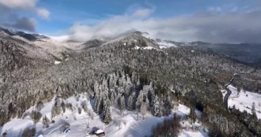 Flight over the village in Hunedoara and the forest in Romania in winter. High-quality DJI Mavic 3 5.1k and 4k footage shot in January 2022 in Borsa, Romania a town in eastern Maramures County