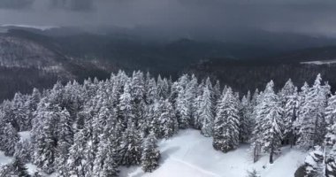 Top-down drone view of a snow-covered mountain landscape at an altitude over 1600. High-quality DJI Mavic 3 5.1k and 4k footage made in Romania in February 2022. Beautiful winter hike. Snowy mountain.