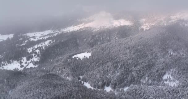 Blizzard Romanian Mountains Aerial Winter Landscape Snow Covered Landscape High — Vídeo de Stock