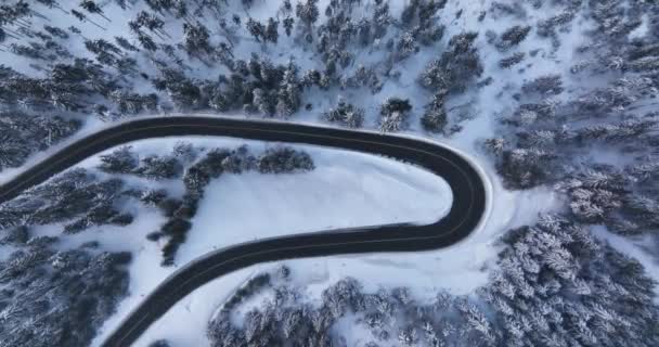 Aerial View Road Mountain Snowy Forest Trees Cinematic Top View — Stockvideo