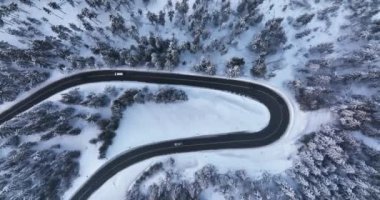 Aerial view of the road in mountain snowy forest and trees. Cinematic Top-down view. High-quality DJI Mavic 3 5.1k and 4k footage in January 2022 in Borsa, Romania a town in eastern Maramures County