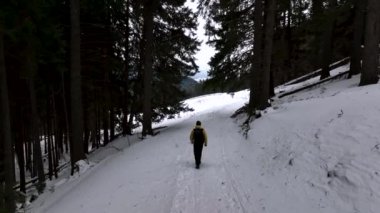 Lone man walking through snow. Mountain expedition. Epic Aerial steady view. High-quality DJI Mavic 3 5.1k and 4k footage made in Romania in February 2022. Beautiful winter hike. Snowy forest.
