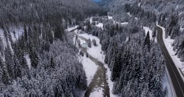 Scenic Top Aerial Video Birch Forest Valleys Froze Snowy Mountains — Vídeos de Stock