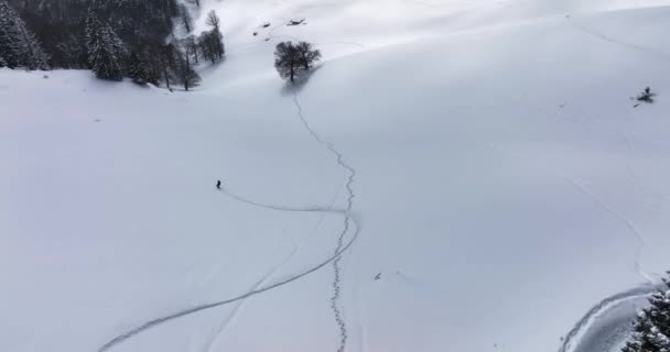 Snowboarder Riding Deep Powder Snow Cloudy Sunny Winter Cold Day — Stock videók