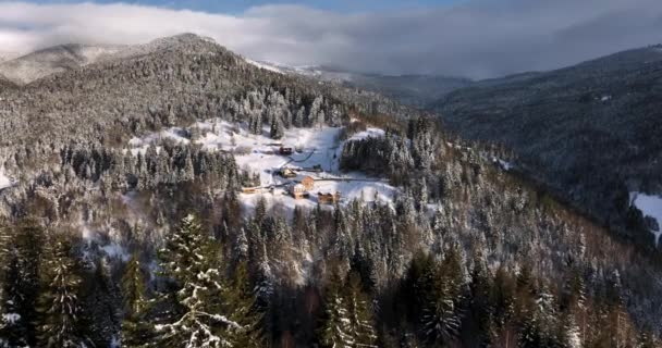 Flight Spruce Forest Trees Revealing Snow Covered Mountains Houses High — Vídeo de Stock