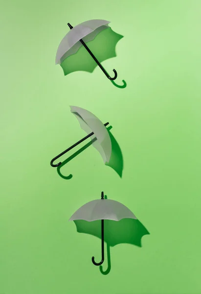 Regenschirme Pastellvioletter Farbe Fallen Der Hintergrund Ist Grün Scharfe Schatten — Stockfoto