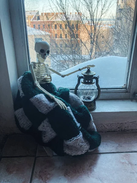 Skeleton Man Checkered Plaid Sits Windowsill Lantern Background City — Stock Photo, Image