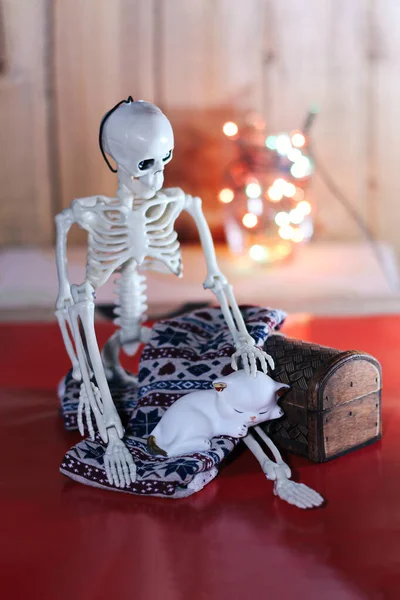 Esqueleto Está Sentado Uma Xadrez Com Gatinho Brinquedo Seu Colo — Fotografia de Stock