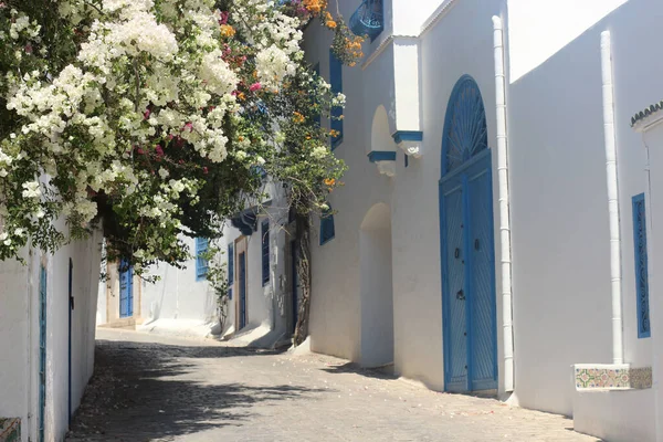 Tunus Sokaklarında Beyaz Evler Çiçek Açan Bitkiler — Stok fotoğraf
