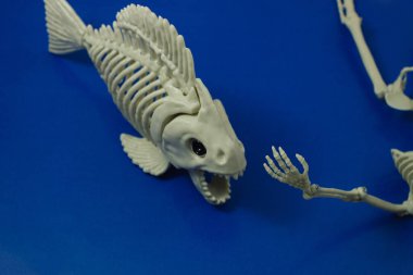 Bir piranhanın iskeleti insan iskeletinin elini ısırmaya hazırlanıyor.