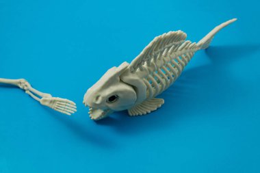 Bir piranhanın iskeleti insan iskeletinin bacağını ısırmaya hazırlanıyor. Mavi arka plan. Derinliklerin Dehşeti